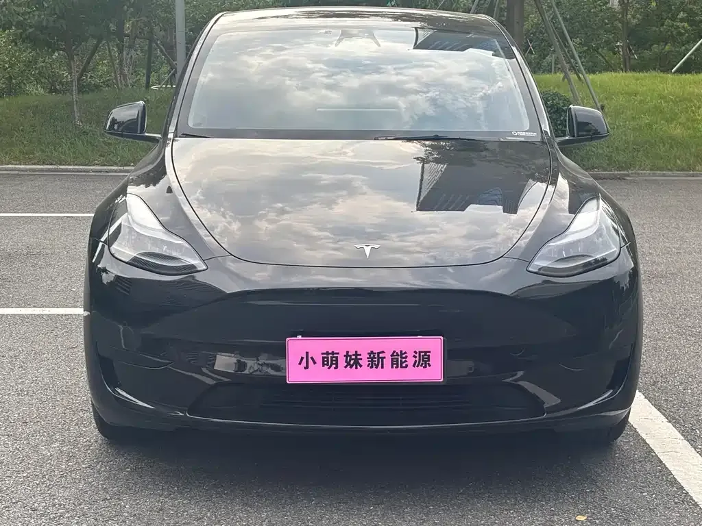 Tesla Model Y — фото 8