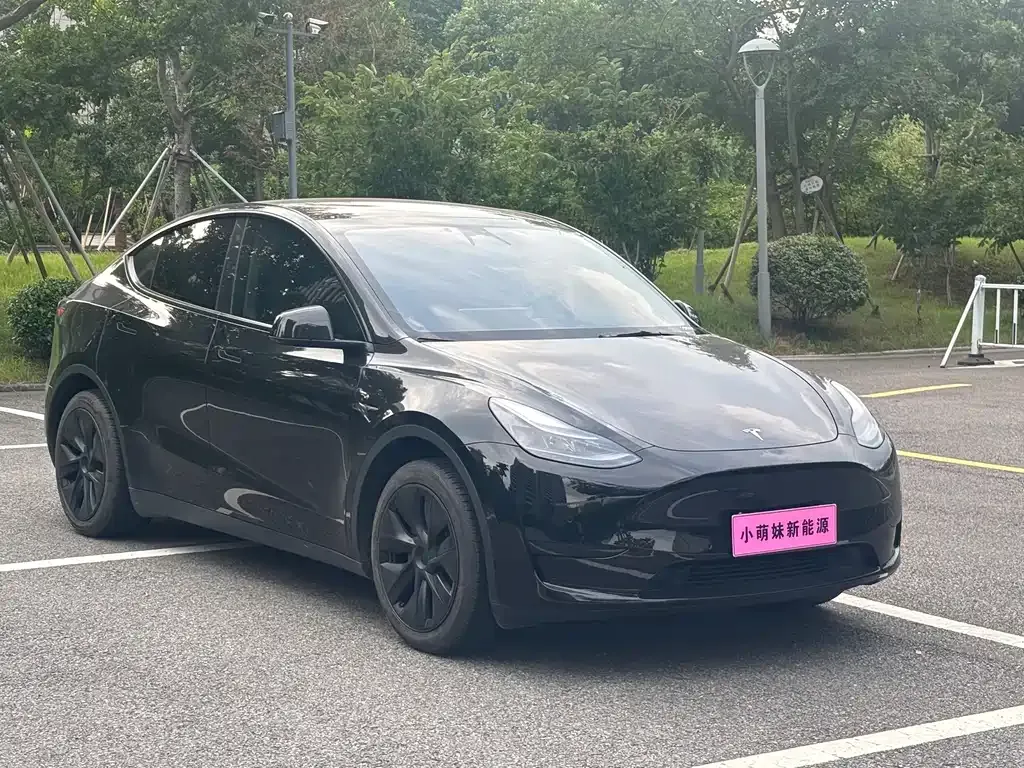 Tesla Model Y — фото 10