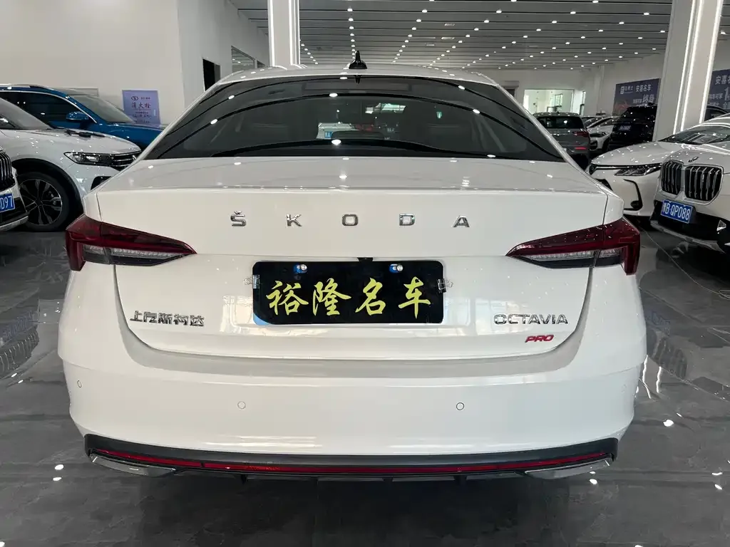 Skoda Octavia 2022 из CN, фото 8