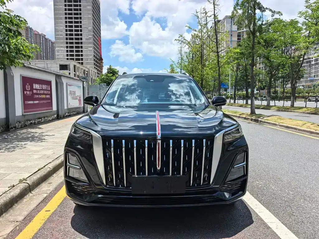 Hongqi HS5 2024 из CN, фото 8