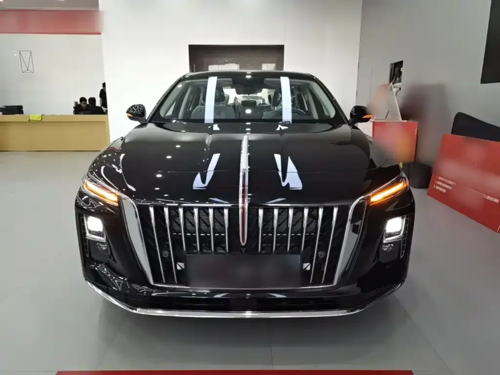 Hongqi H5 PHEV 2025 из CN, фото 5