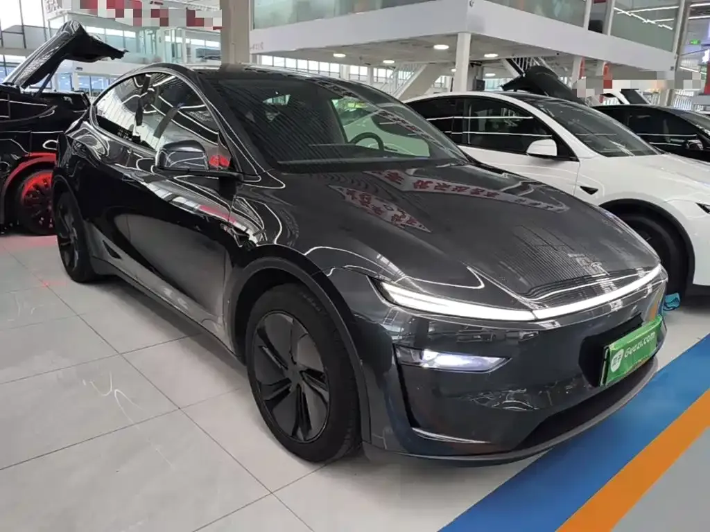 Tesla Model Y — фото 9
