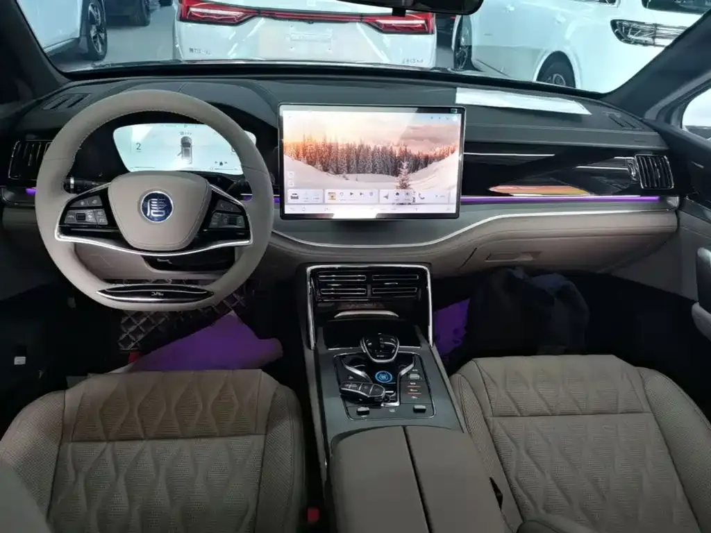 BYD Tang New Energy 2024 из CN, фото 7