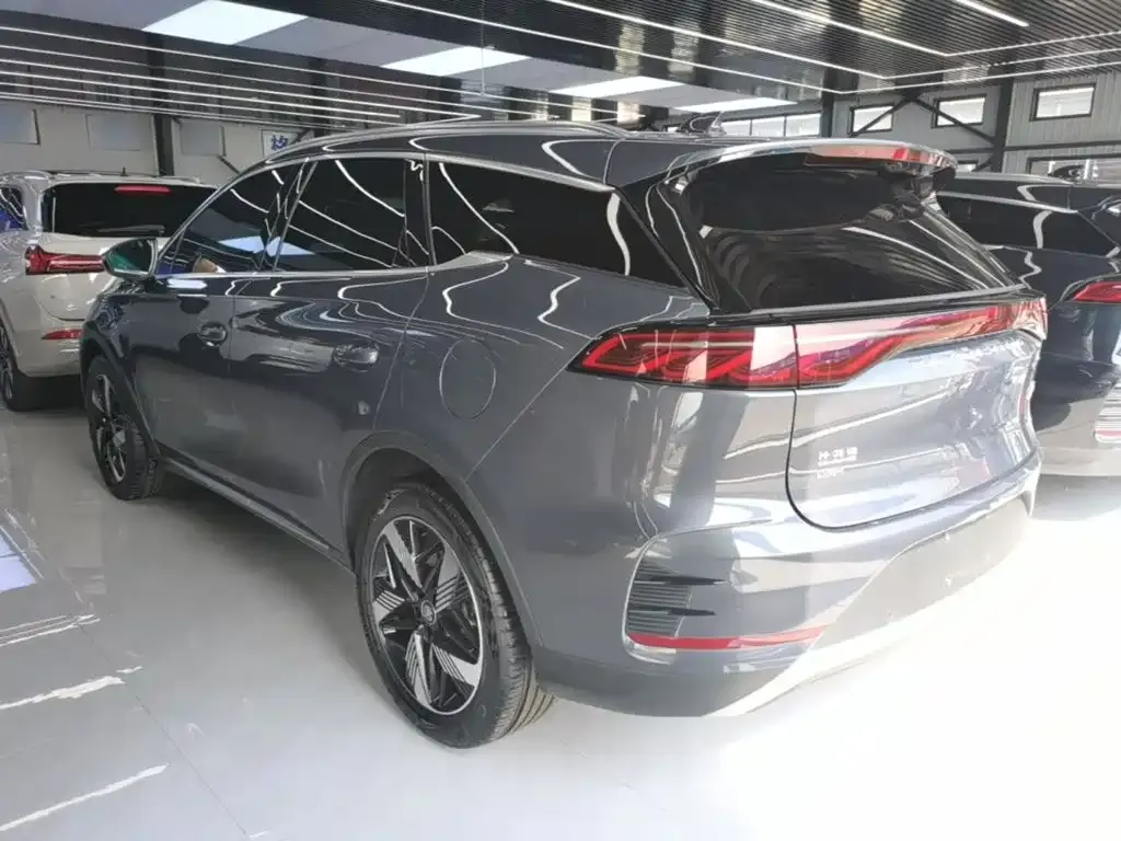 BYD Tang New Energy 2024 из CN, фото 5