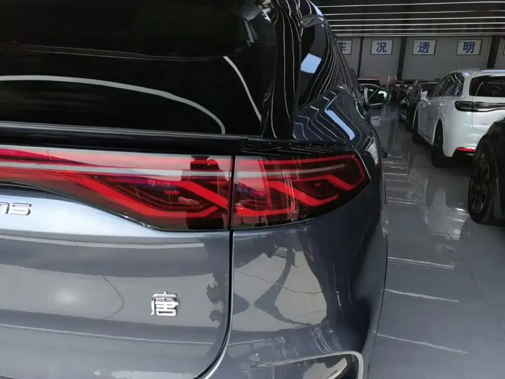 BYD Tang New Energy 2024 из CN, фото 9