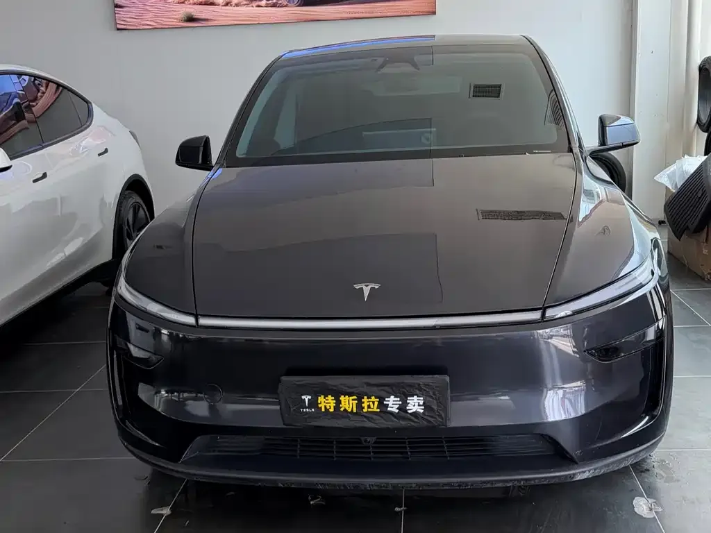 Tesla Model Y — фото 7