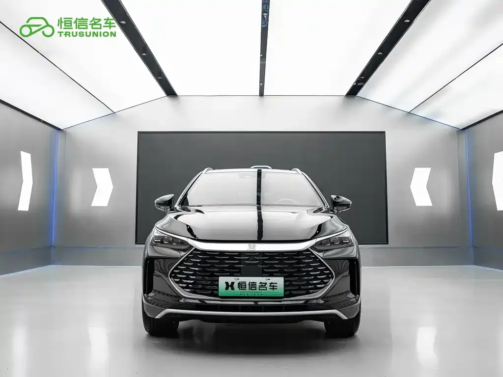 BYD Tang New Energy — фото 4