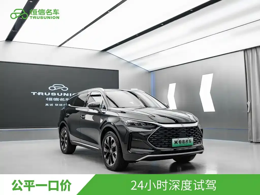 BYD Tang New Energy — фото 8