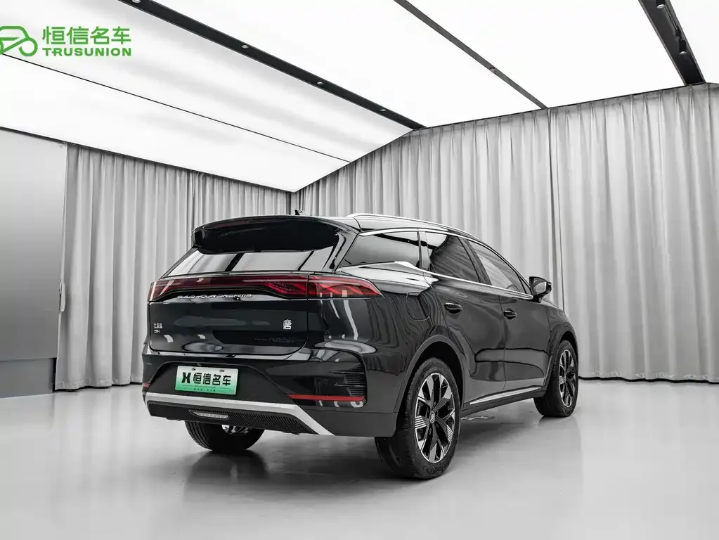 BYD Tang New Energy — фото 6