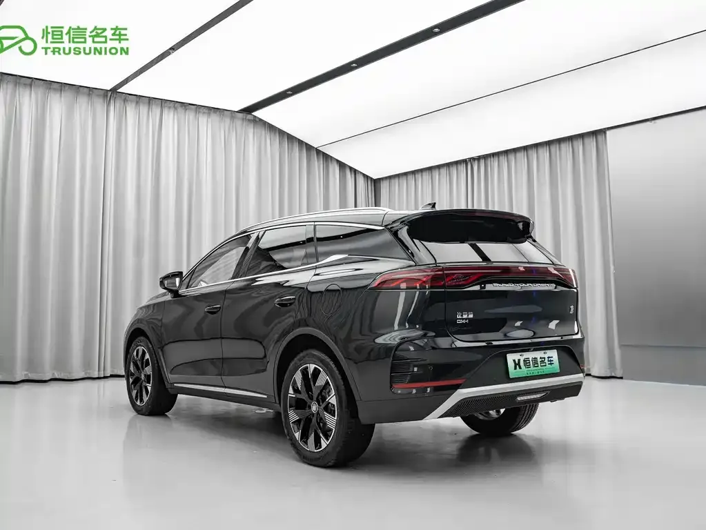 BYD Tang New Energy — фото 5