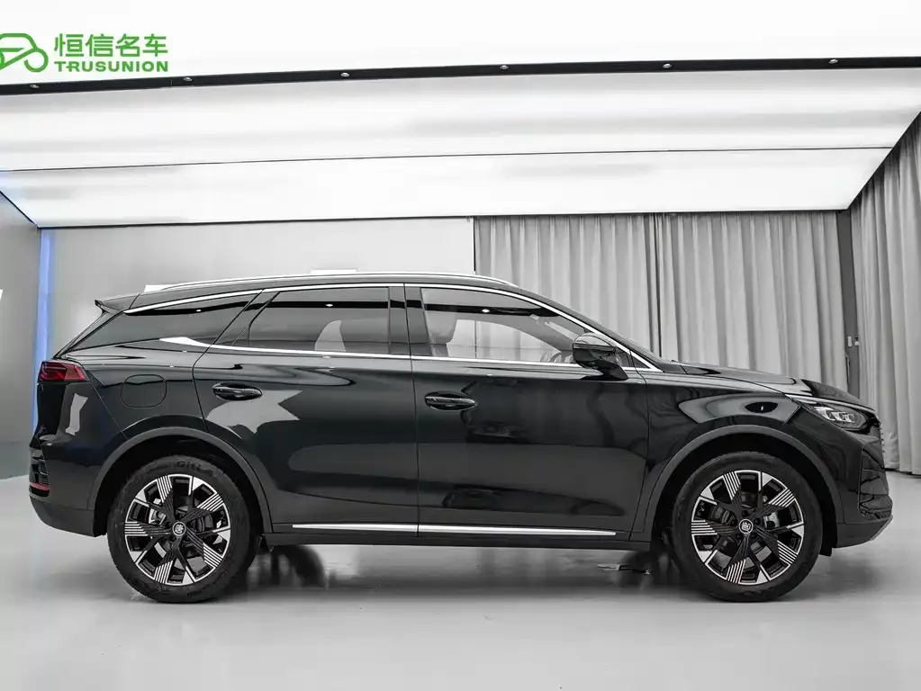 BYD Tang New Energy — фото 10
