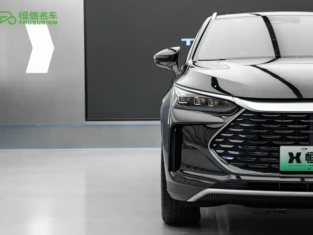 BYD Tang New Energy — фото 2
