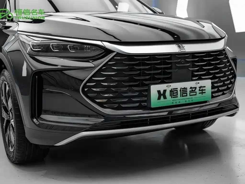 BYD Tang New Energy — фото 7