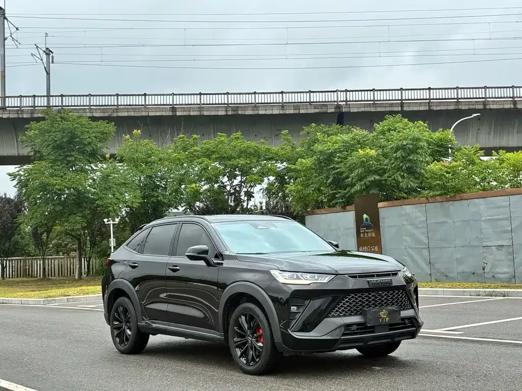 Haval H6S — фото 8