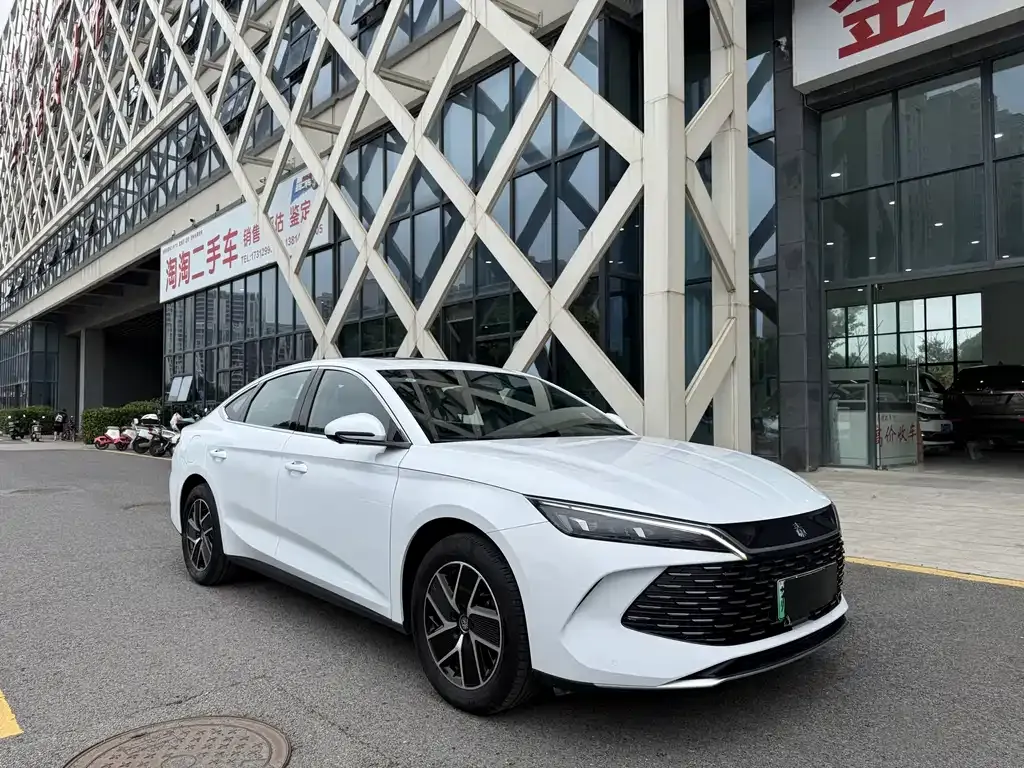 BYD Qin L — фото 10