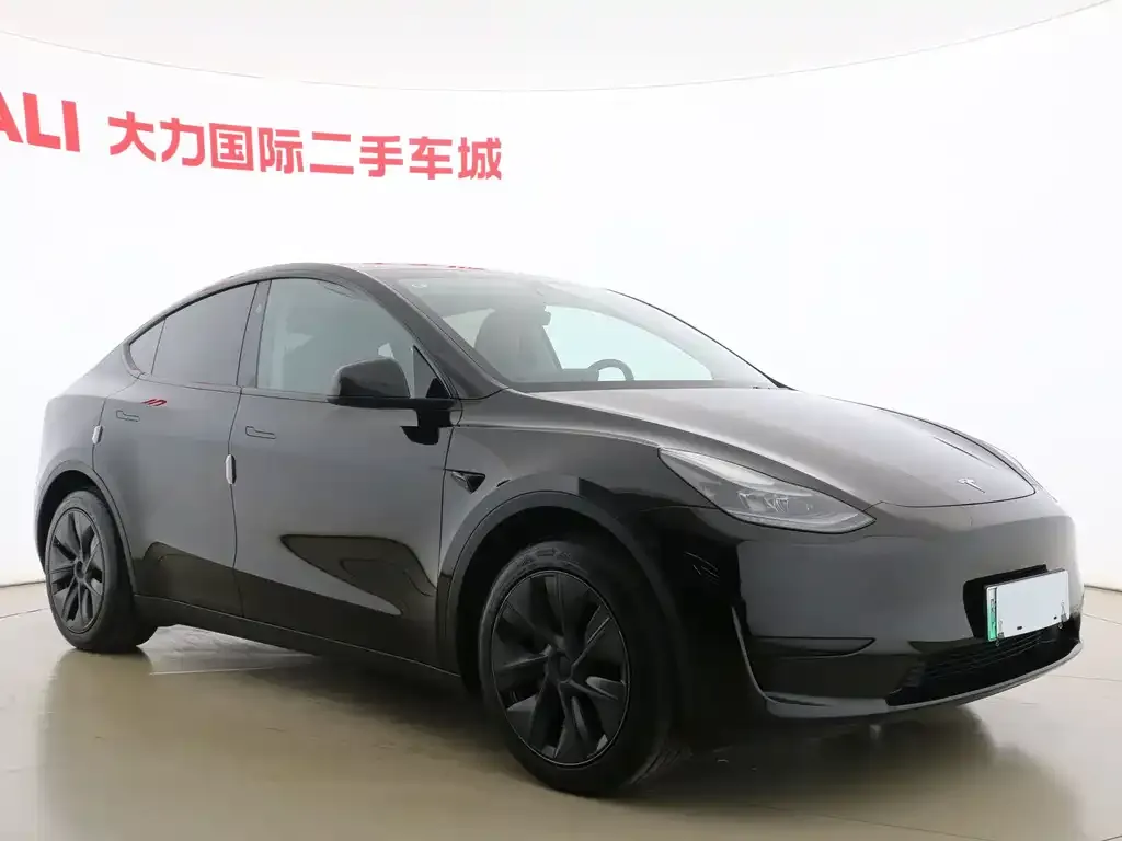 Tesla Model Y — фото 8