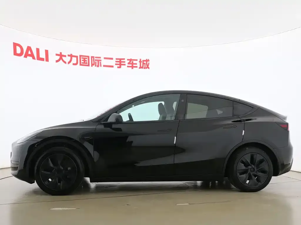 Tesla Model Y — фото 5