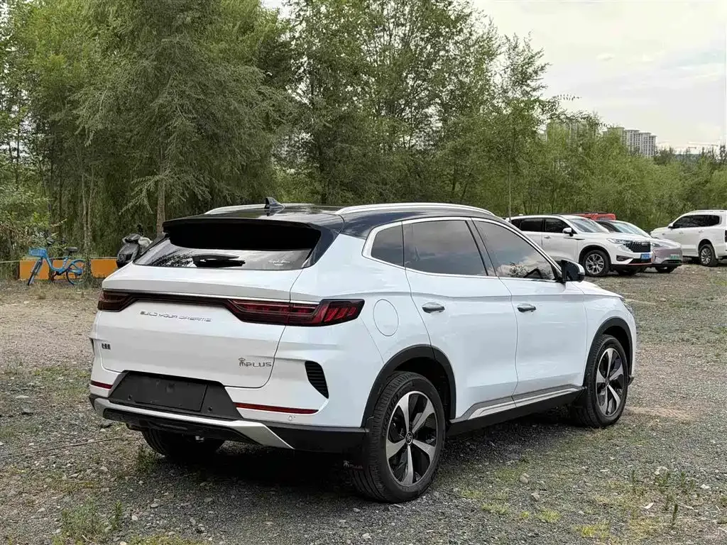 BYD PLUS New Energy — фото 3