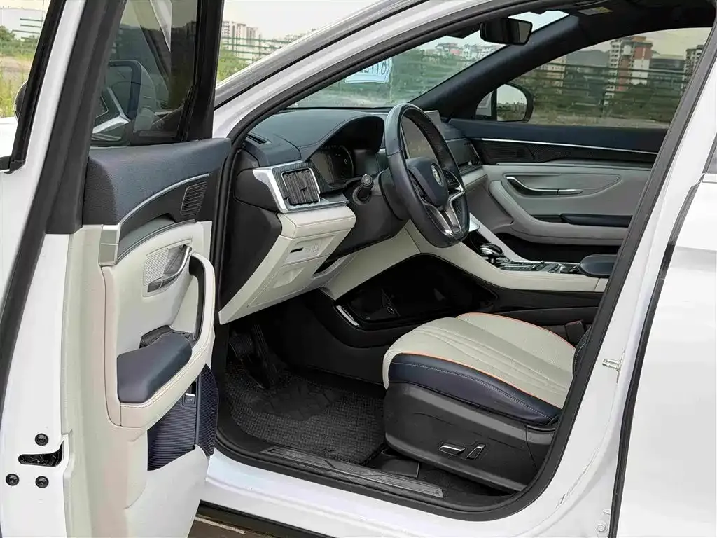 BYD PLUS New Energy — фото 2