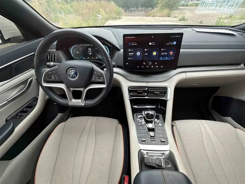 BYD PLUS New Energy — фото 10