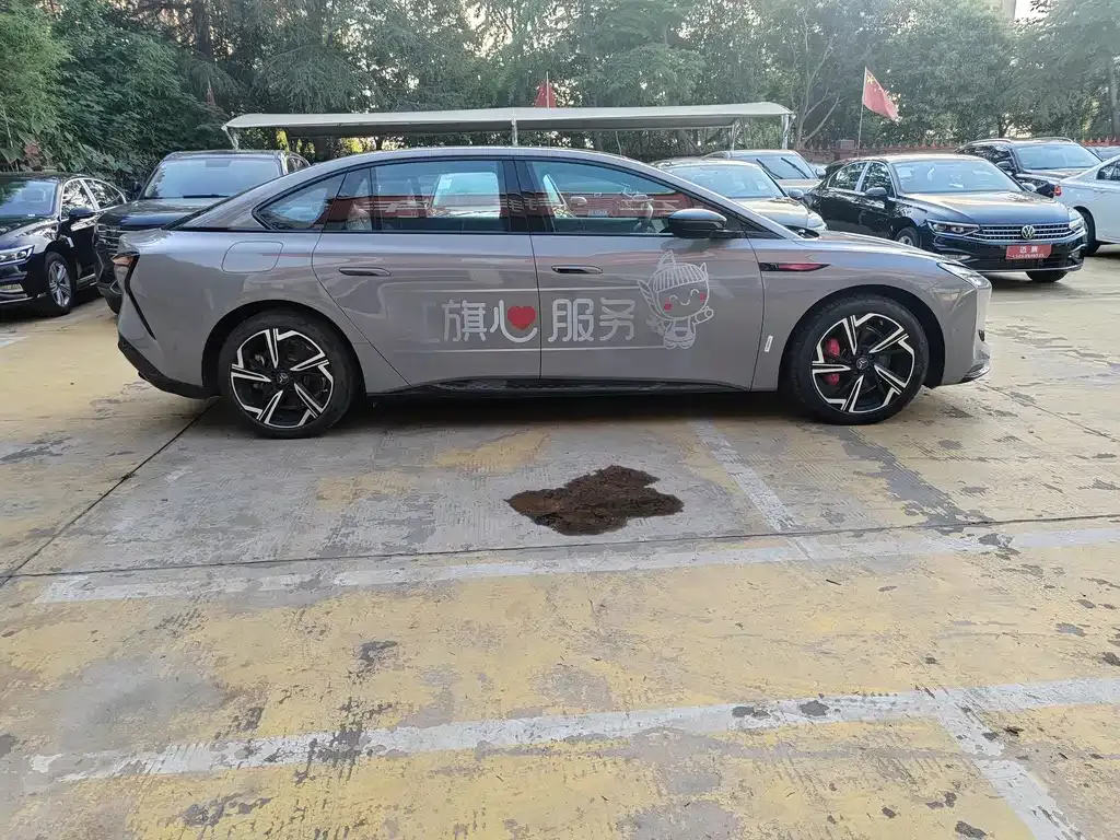 Hongqi EH7 2024 из CN, фото 9