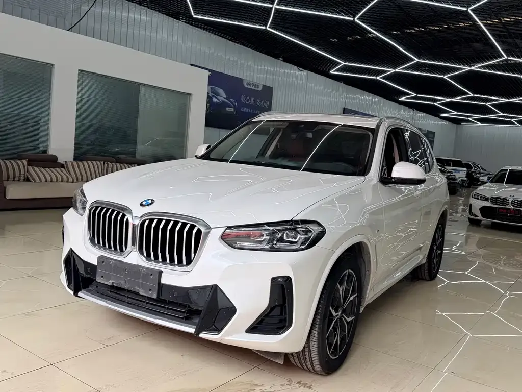 BMW X3 — фото 1