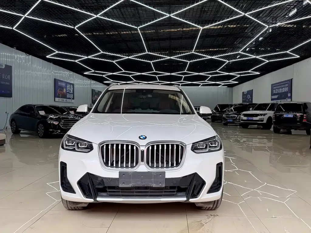 BMW X3 — фото 10