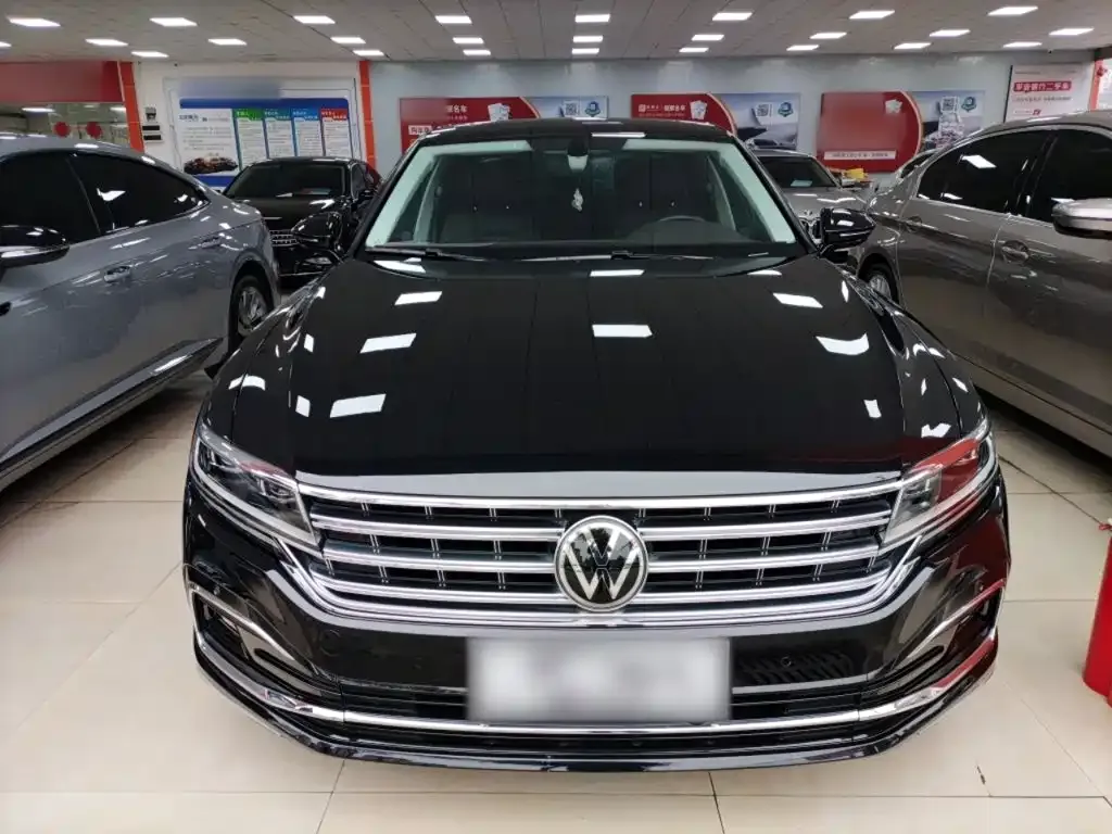 Volkswagen Phideon — фото 10