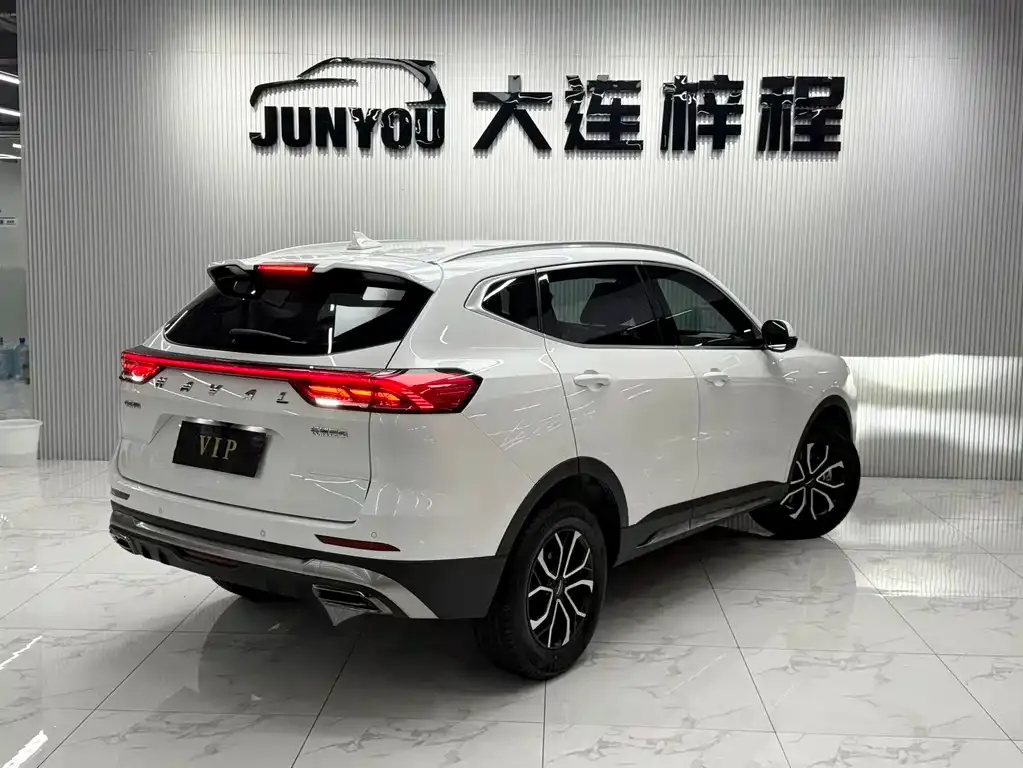 Haval H6 — фото 8