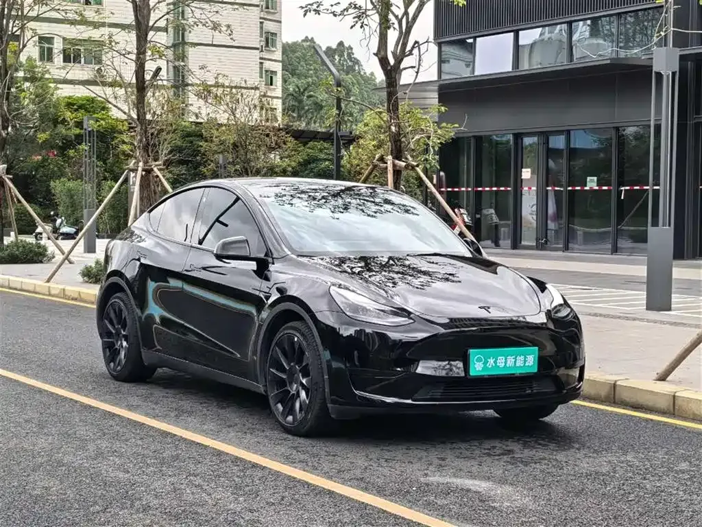 Tesla Model Y — фото 6
