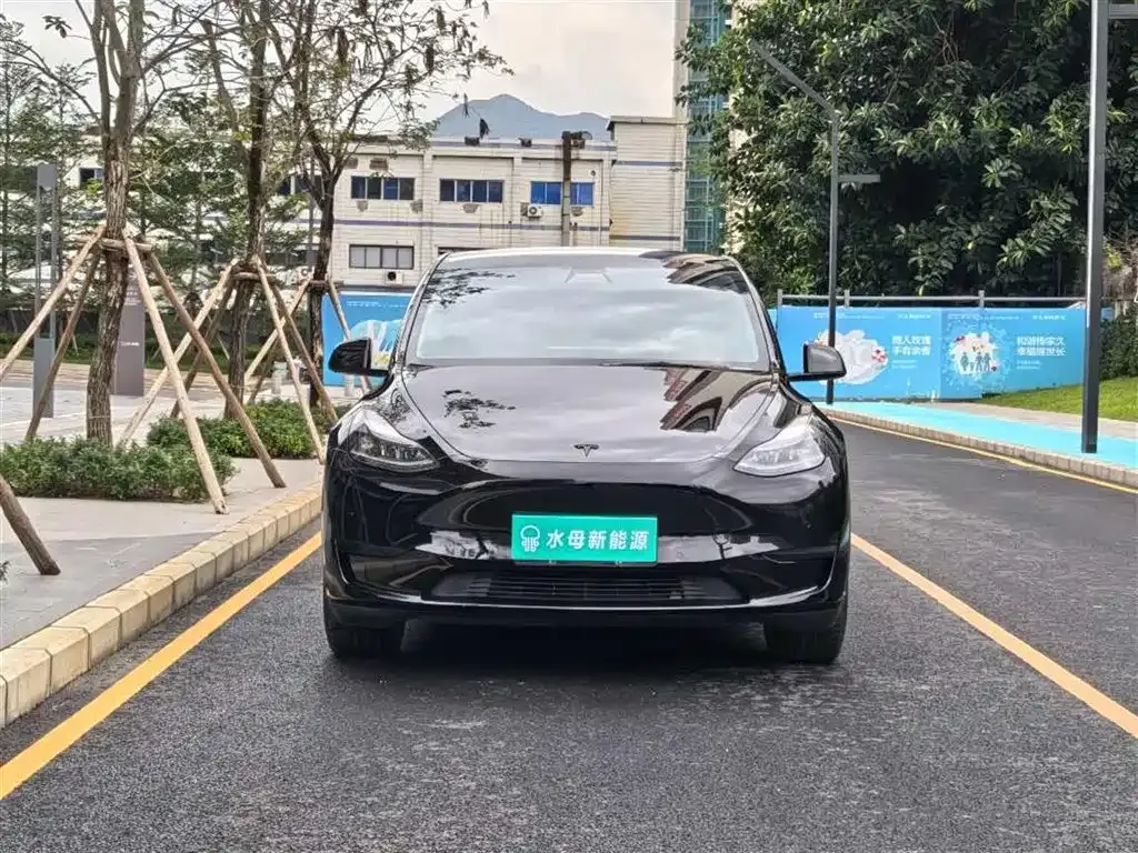 Tesla Model Y — фото 9