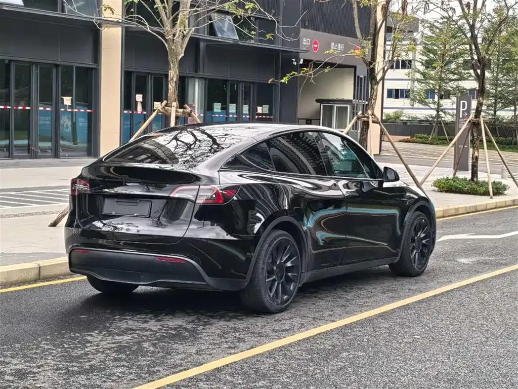 Tesla Model Y — фото 10