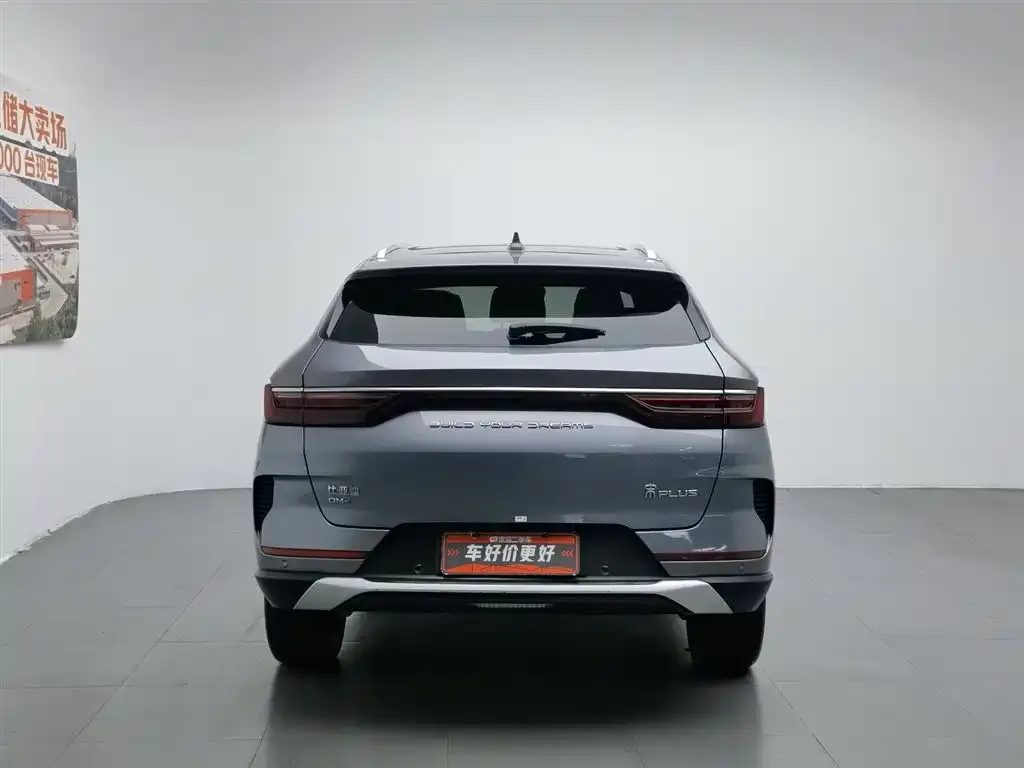 BYD PLUS New Energy 2023 из CN, фото 2