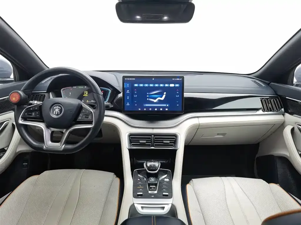BYD PLUS New Energy 2023 из CN, фото 6