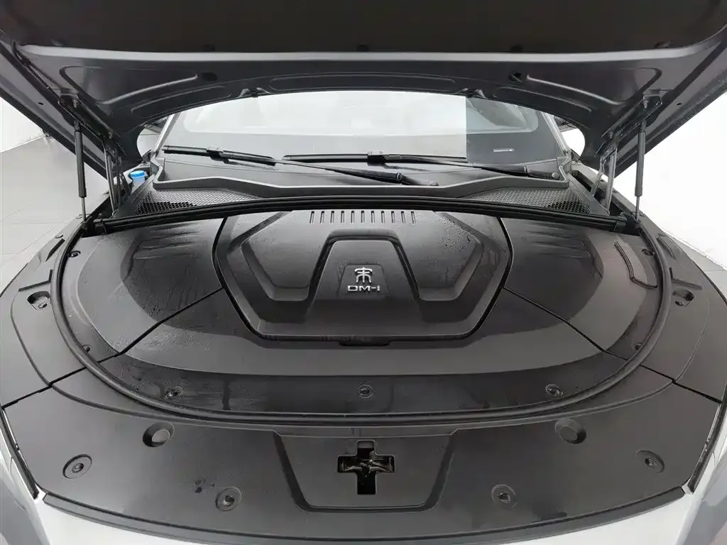 BYD PLUS New Energy 2023 из CN, фото 7