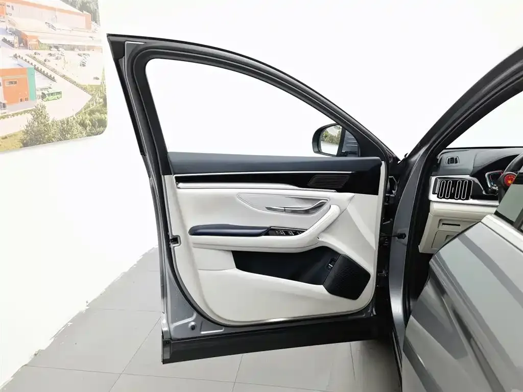 BYD PLUS New Energy 2023 из CN, фото 5
