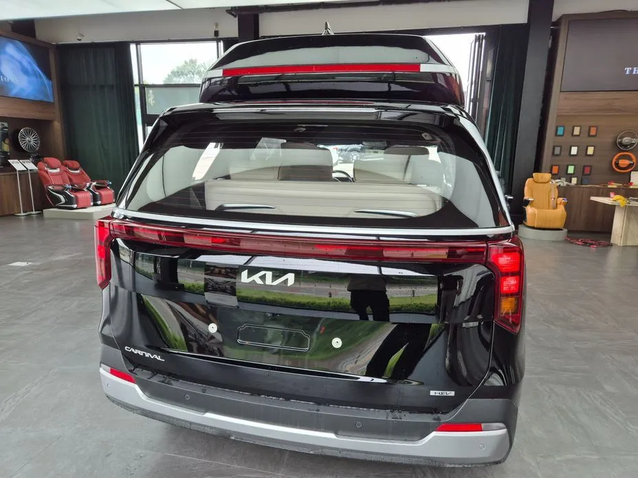 Kia Carnival — фото 10