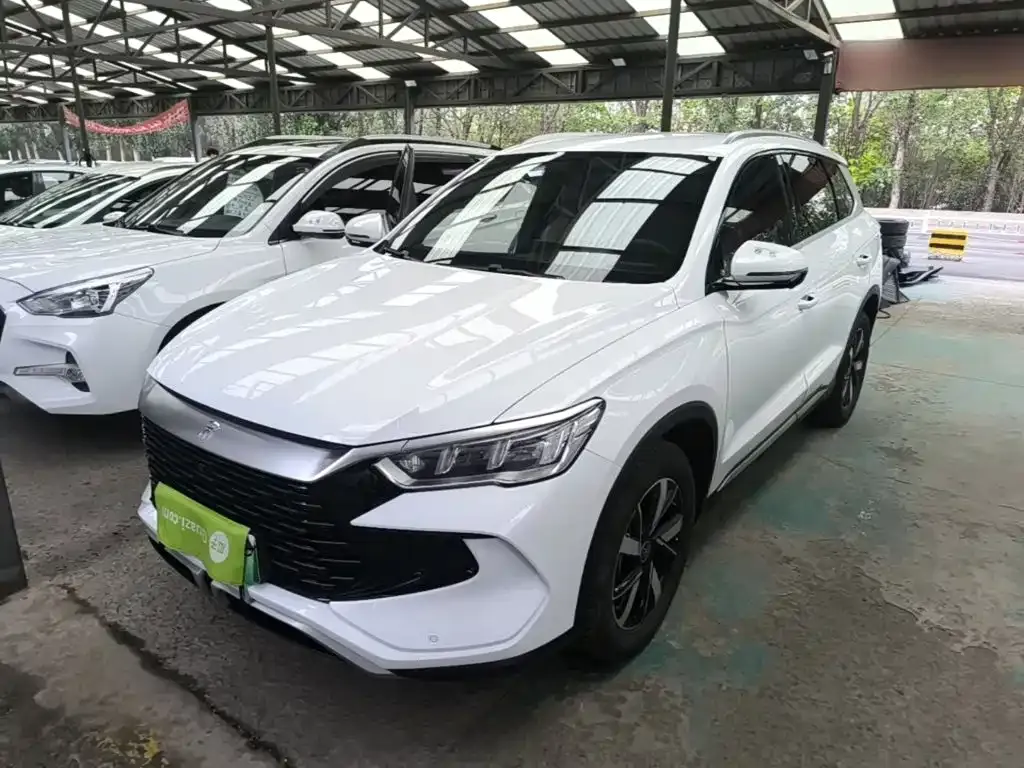 BYD Pro New Energy — фото 3