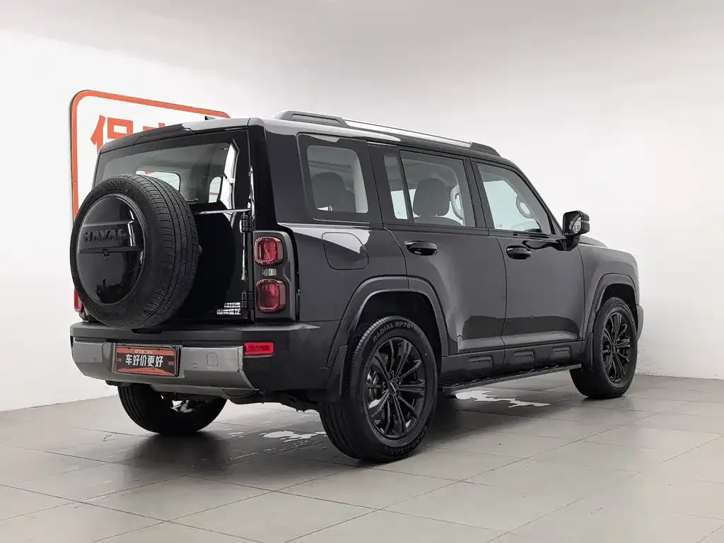 Haval Menglong New Energy 2024 из CN, фото 6