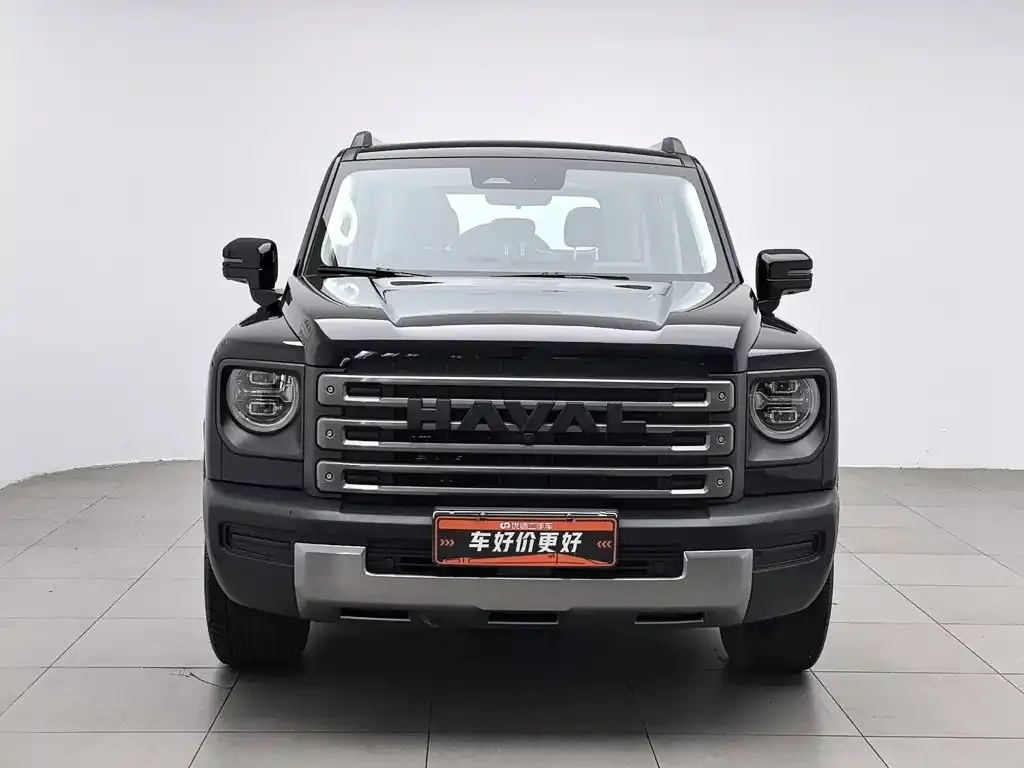 Haval Menglong New Energy 2024 из CN, фото 4