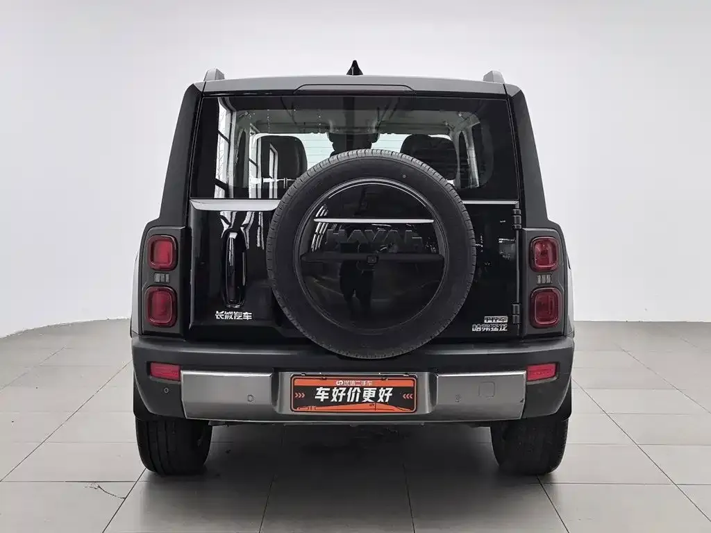 Haval Menglong New Energy 2024 из CN, фото 5