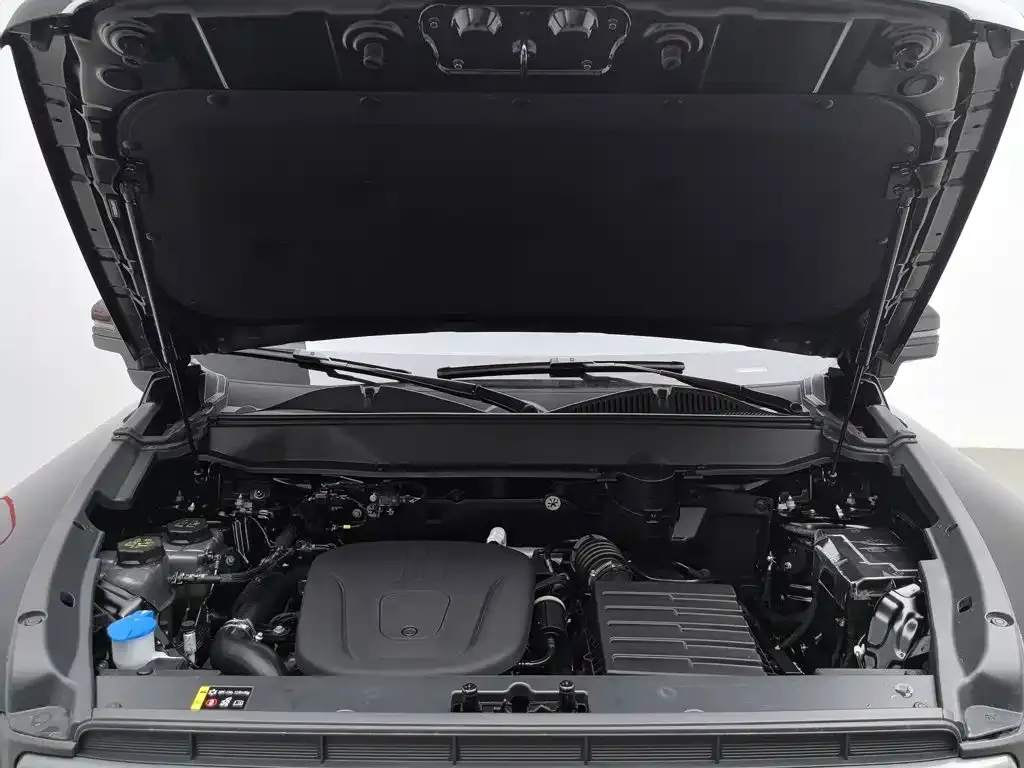 Haval Menglong New Energy 2024 из CN, фото 7