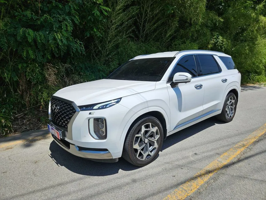 Hyundai Palisade — фото 1