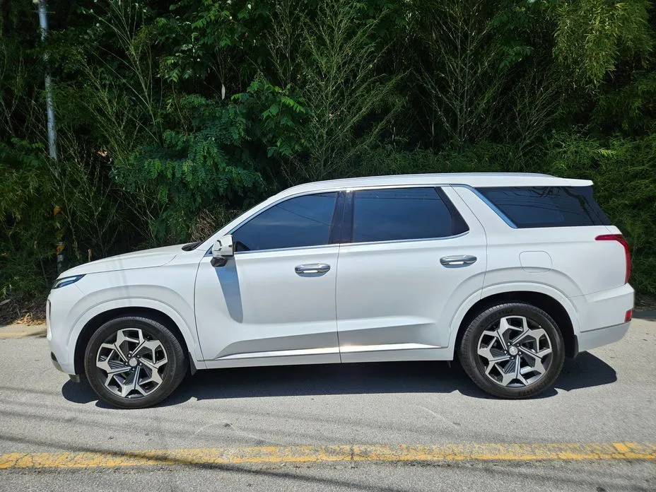 Hyundai Palisade — фото 10