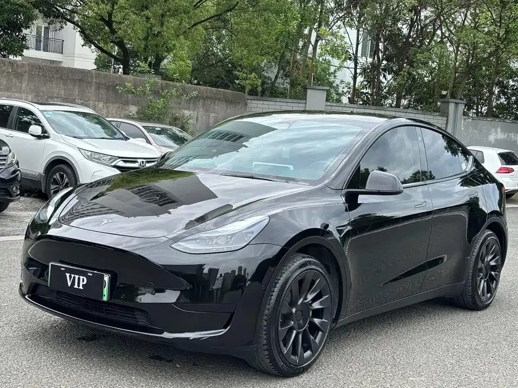 Tesla Model Y — фото 1