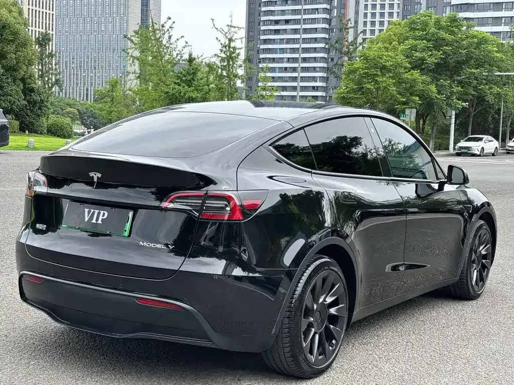 Tesla Model Y — фото 8