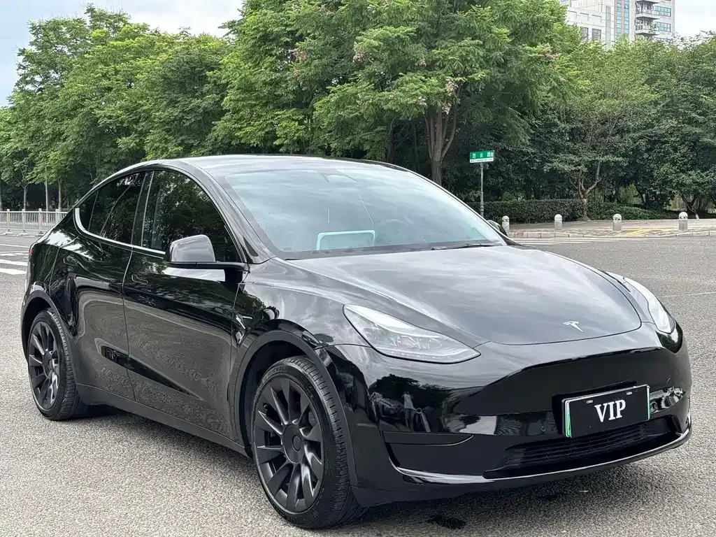 Tesla Model Y — фото 9
