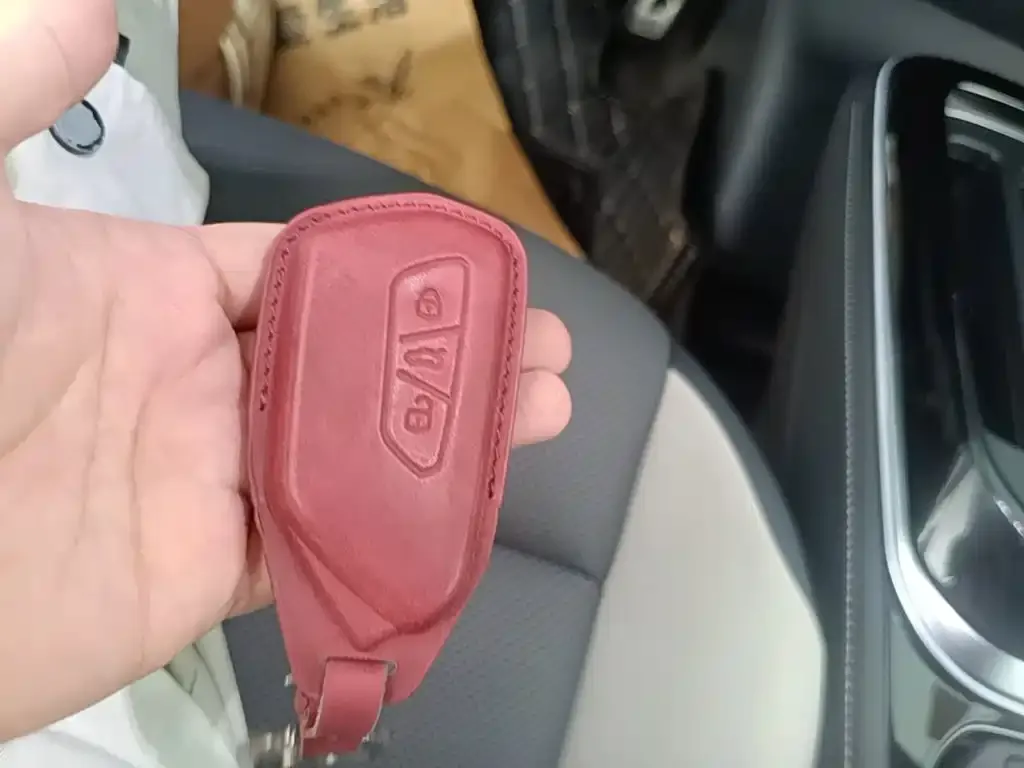 Volkswagen ID.4 Crozz 2024 из CN, фото 2