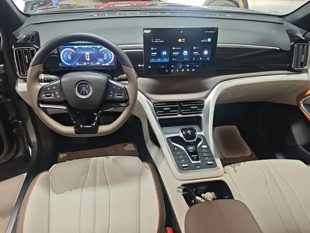BYD Pro New Energy — фото 3