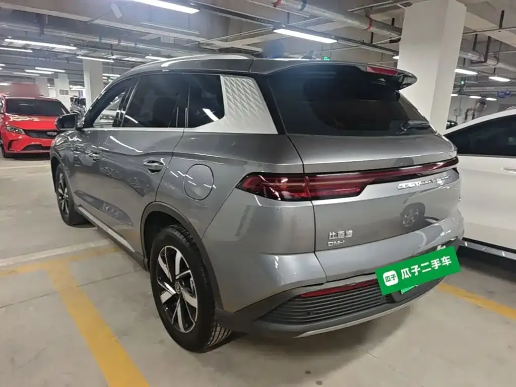 BYD Pro New Energy — фото 10